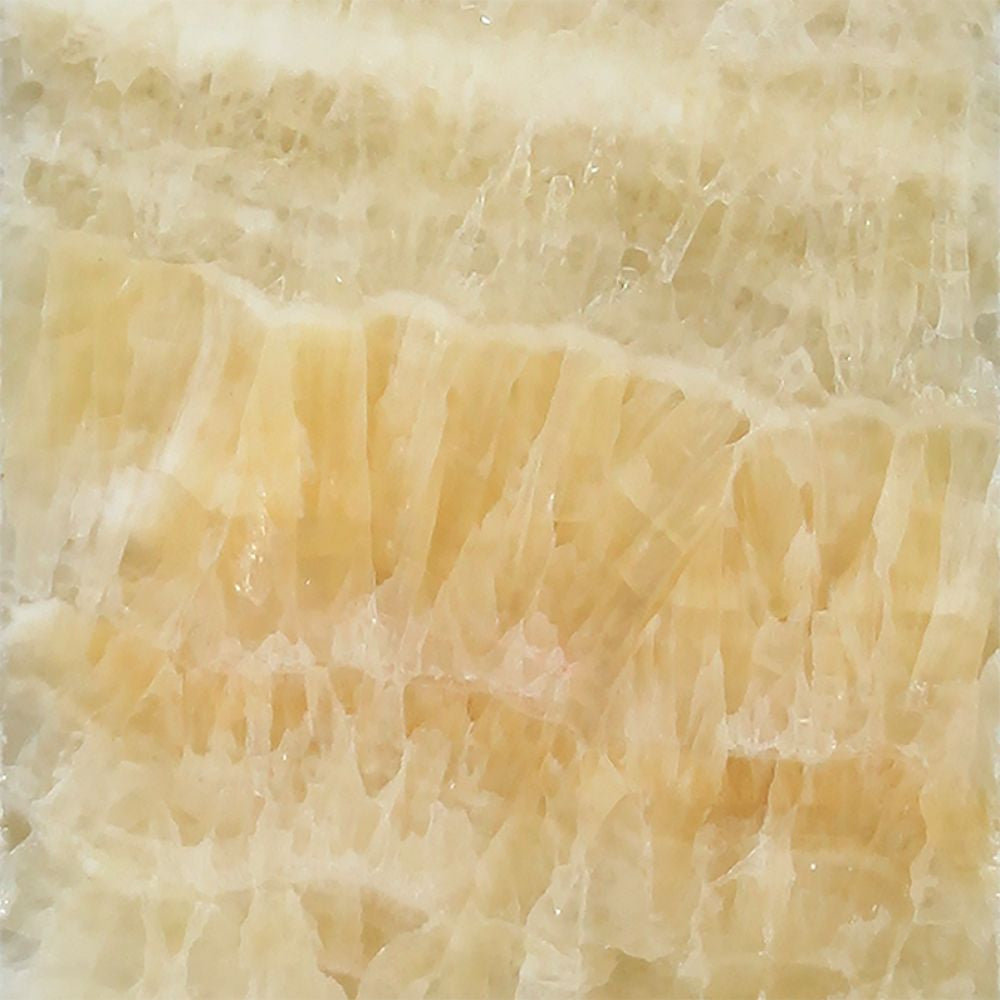 12 x 12 Polished Honey Onyx Tile