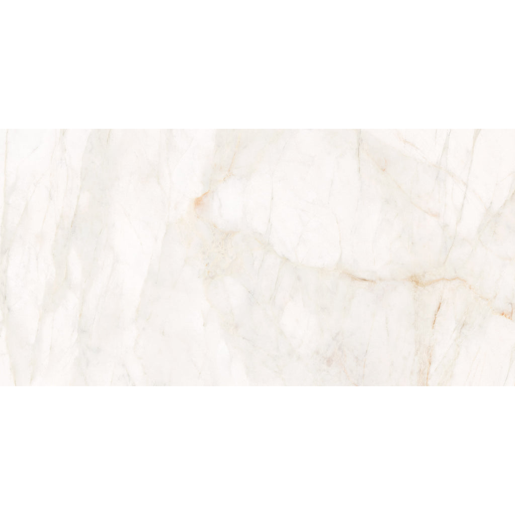 Marble Dolomita White Porcelain Tile