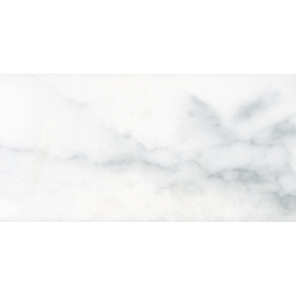 Statuary Ceramic Wall Tile