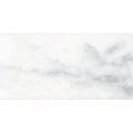Statuary Ceramic Wall Tile