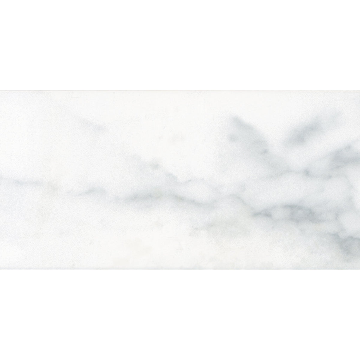 Statuary Ceramic Wall Tile