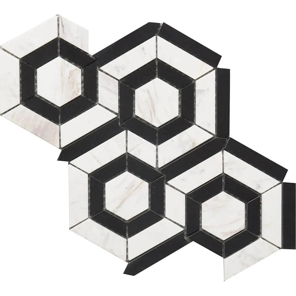Rockart Black & White Hexagon Marble Mosaic Tile