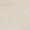 Bio Concrete Artic Porcelain Tile surface