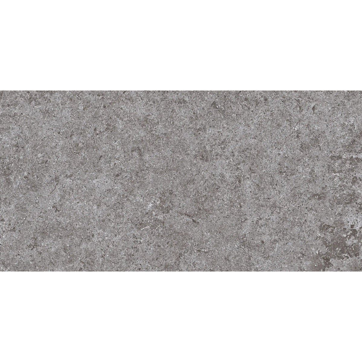 Basalt Gray Porcelain Tile