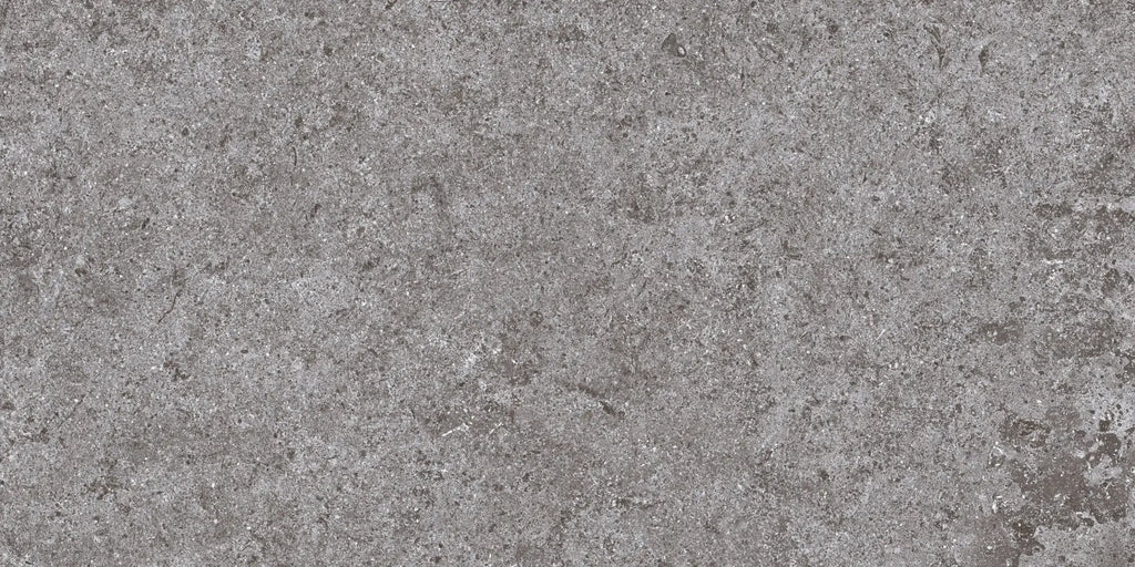 Basalt Gray Porcelain Tile