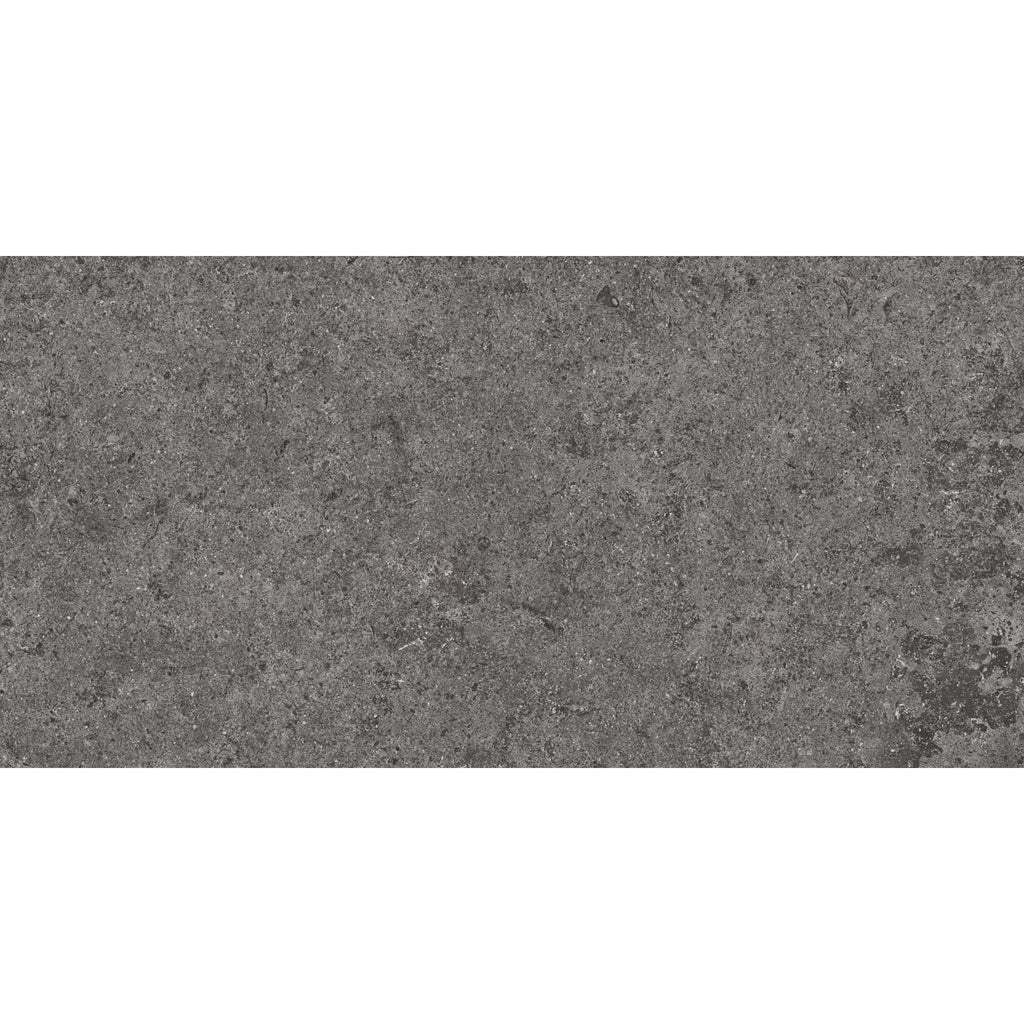 Basalt Graphite Porcelain Tile