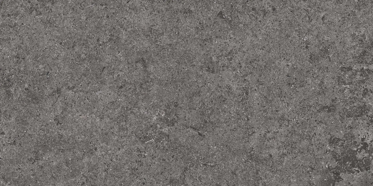 Basalt Graphite Porcelain Tile