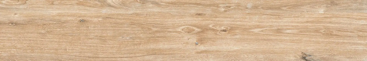 Everglade Forest Porcelain Tile