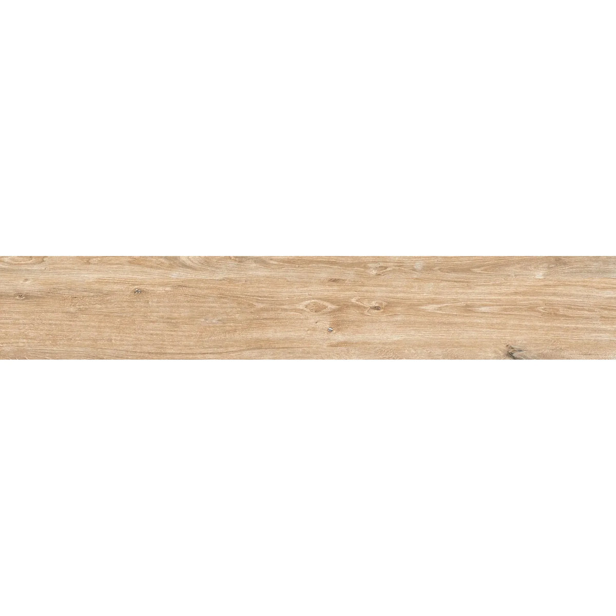 Everglade Forest Porcelain Tile