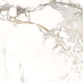 Loreal White Porcelain Tile