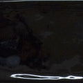 Maui Negro Ceramic Tile