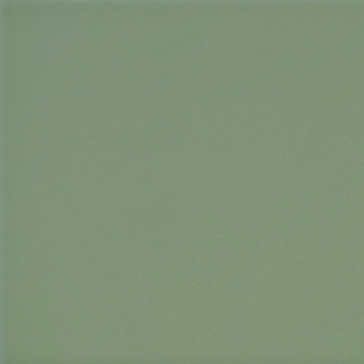 Color Collection Olive Green Ceramic Wall Tile