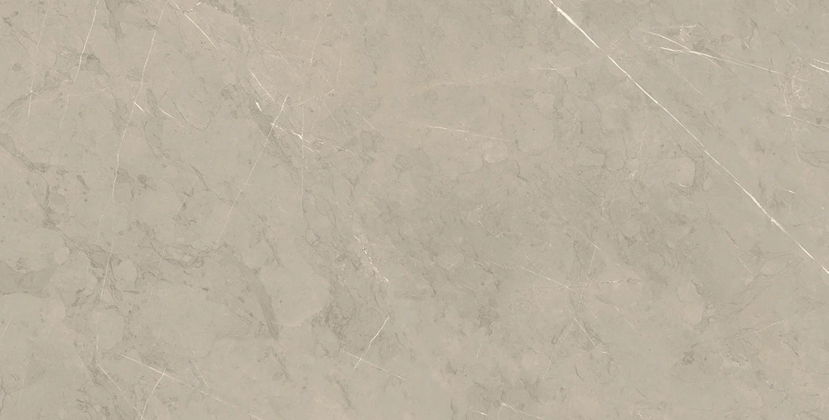 Piasentina Silver Porcelain Tile
