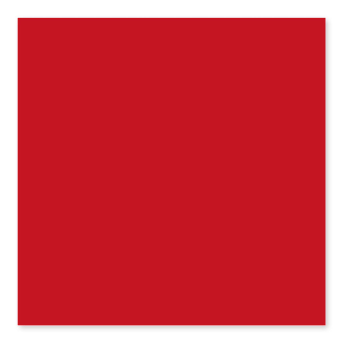 Color Collection Red Pepper Ceramic Wall Tile