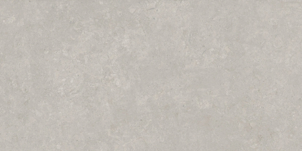Savoy Fiorito Gray Porcelain Tile