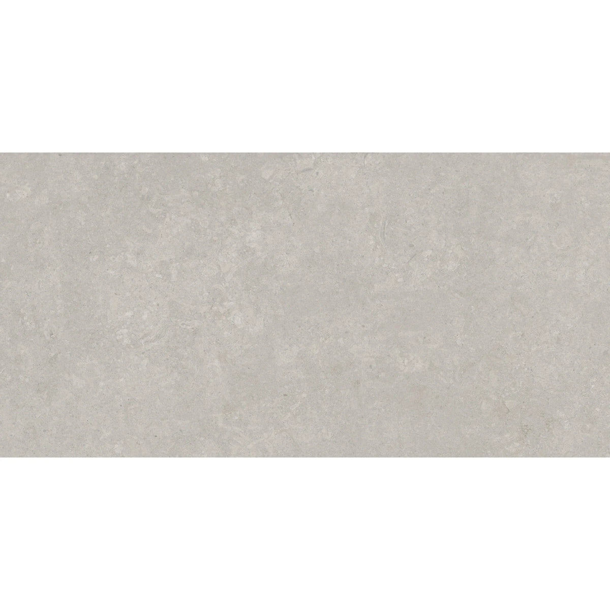 Savoy Fiorito Gray Porcelain Tile
