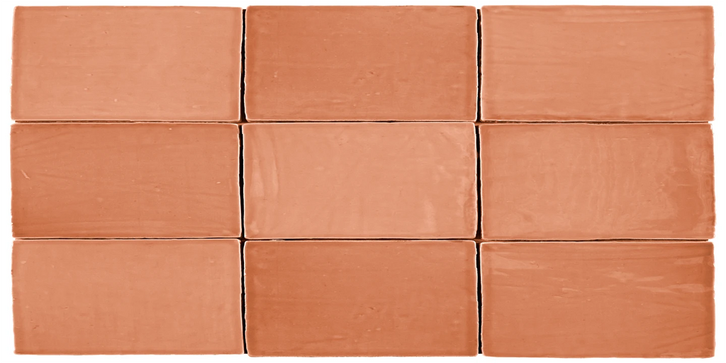 St. Tropez Coral 2.5x5 Ceramic Wall Tile