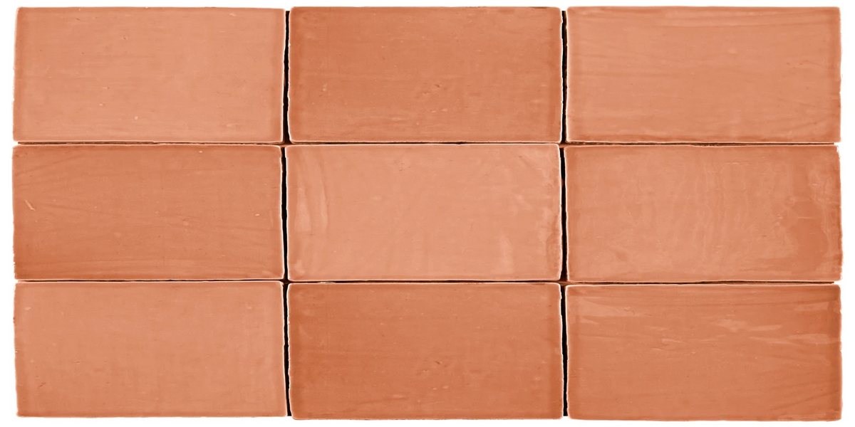 St. Tropez Coral 2.5x5 Ceramic Wall Tile