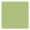 Color Collection Spring Green Ceramic Wall Tile