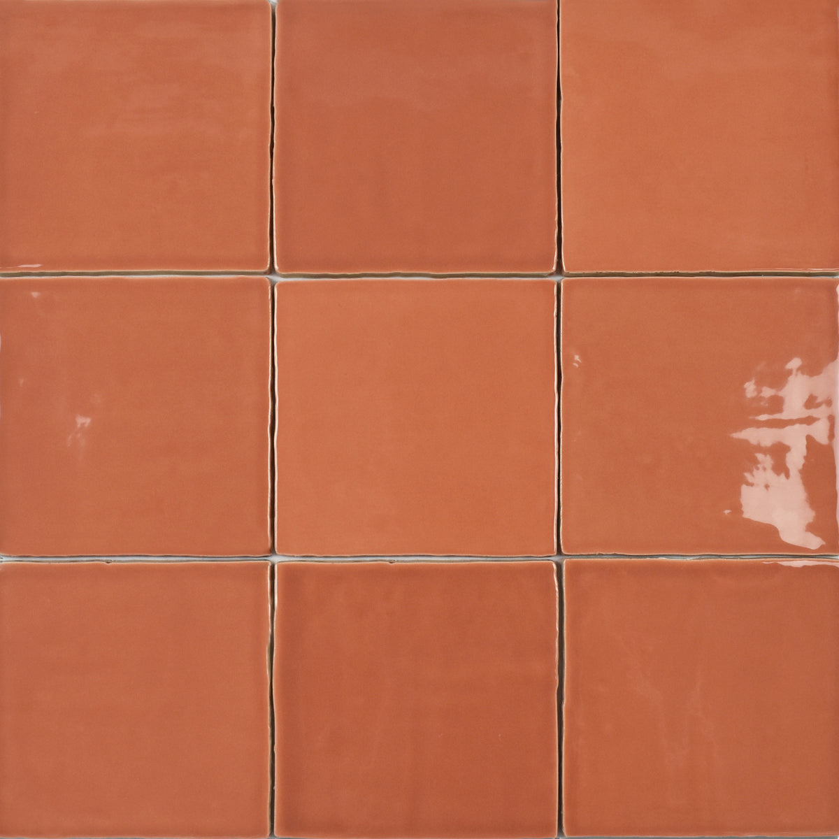 St. Tropez Coral Ceramic Wall Tile