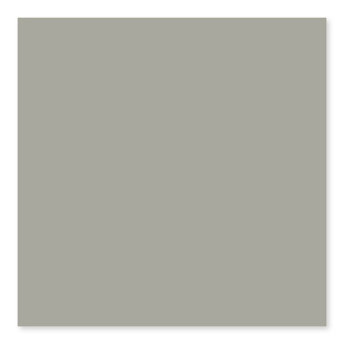 Color Collection Taupe Ceramic Wall Tile