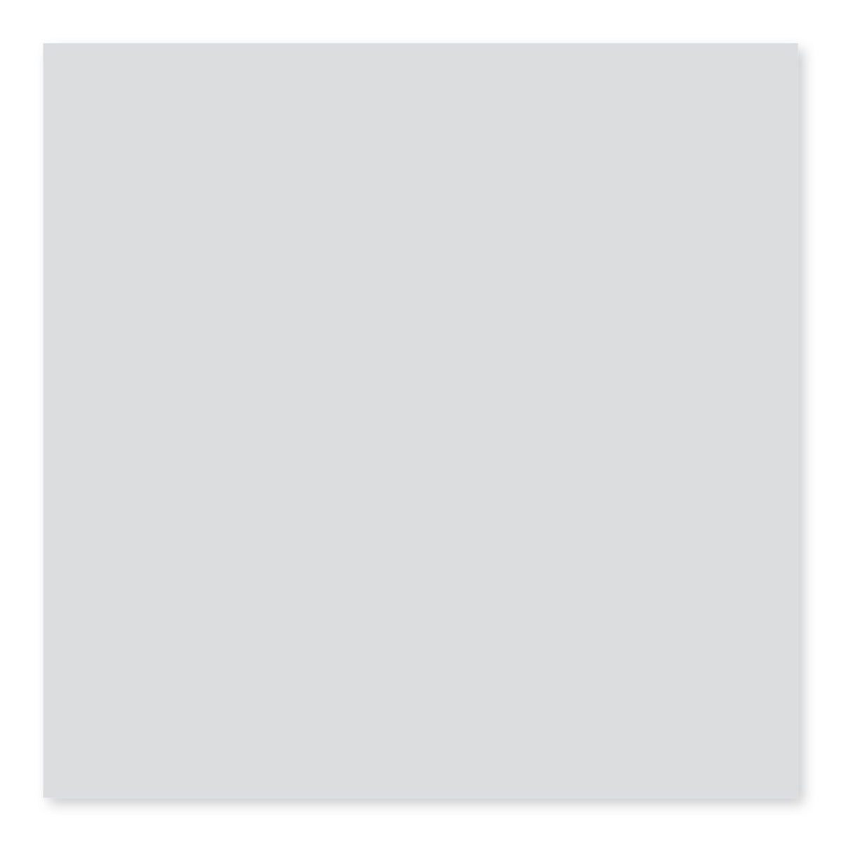 Color Collection Tender Gray Ceramic Wall Tile