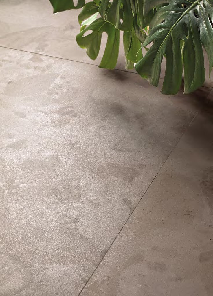 Calypso Twilight Porcelain Tile on a floor with a plant