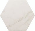 Porcellana Di Carrara Hexagon Carrara surface