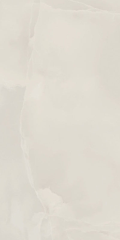 Foyer Pure Porcelain Tile surface