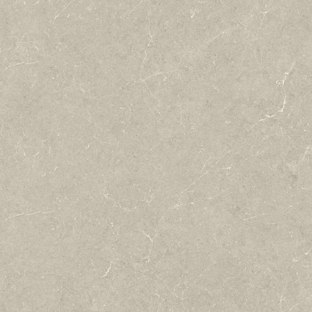 Holbox Beige Porcelain Tile surface