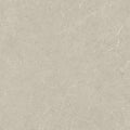 Holbox Beige Porcelain Tile surface