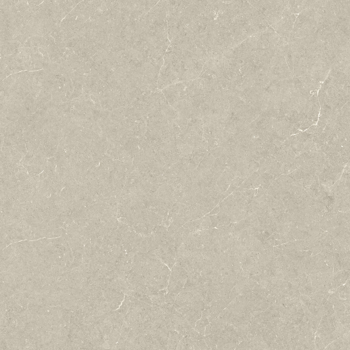 Holbox Beige Porcelain Tile surface