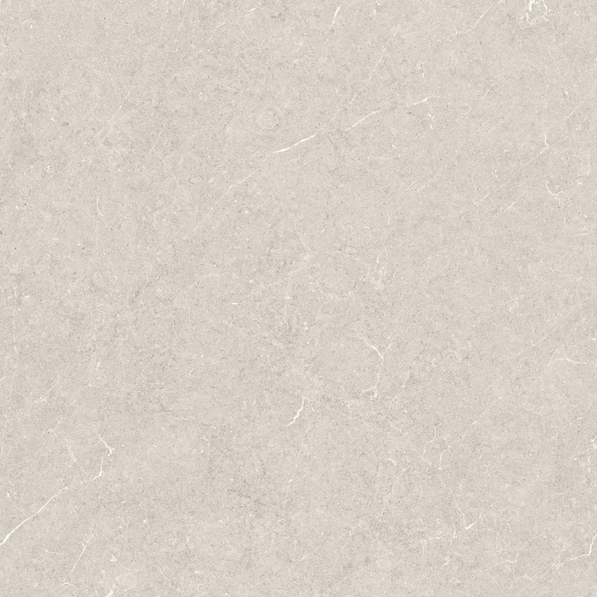 Holbox Ivory Porcelain Tile surface