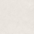 Holbox Light Porcelain Tile surface