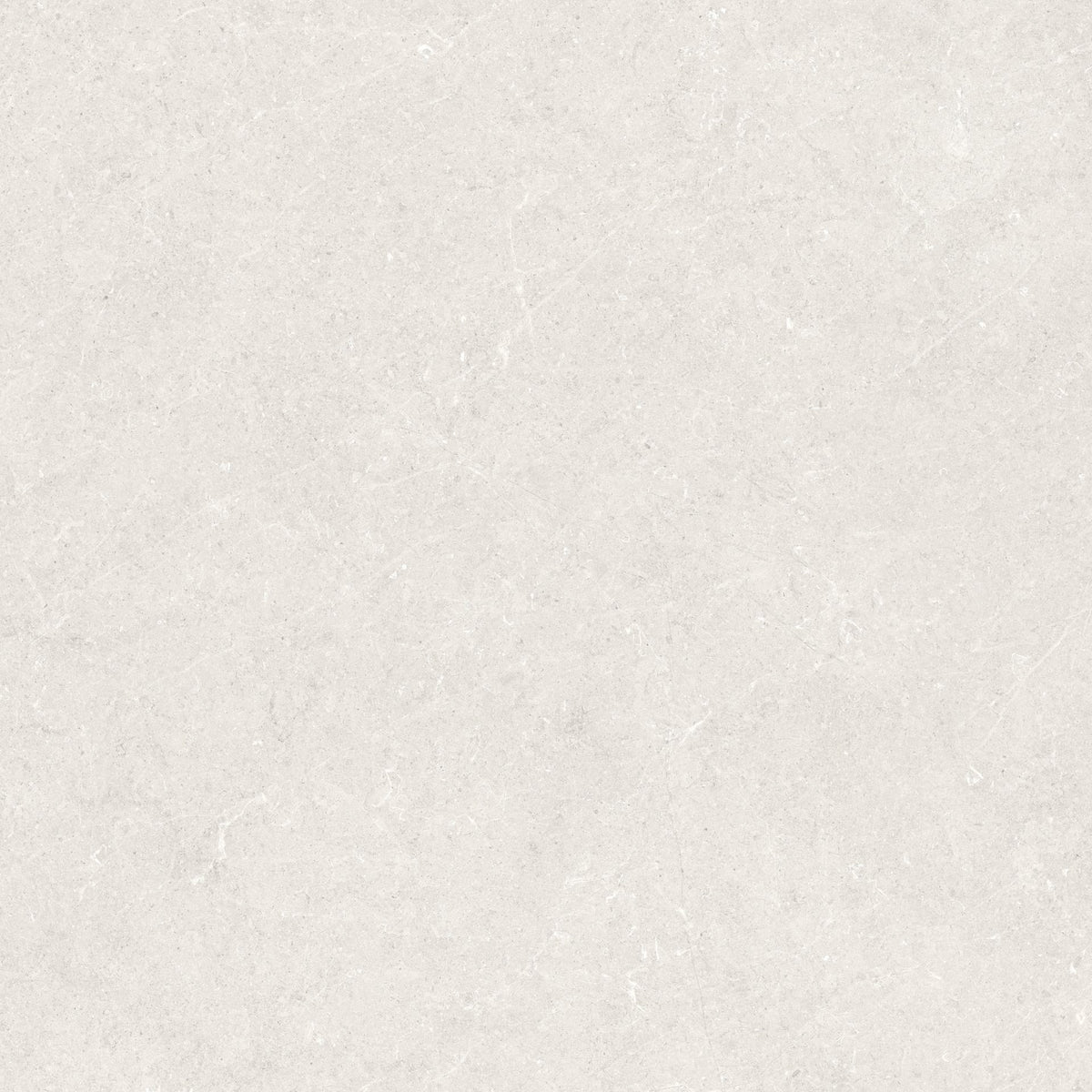 Holbox Light Porcelain Tile surface