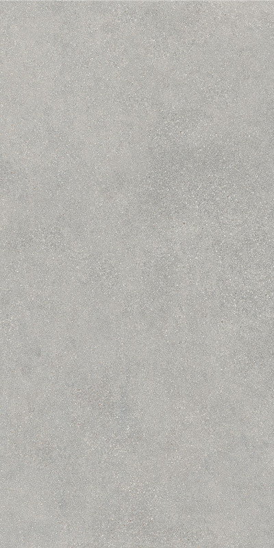 Bio Concrete Storm Porcelain Tile surface