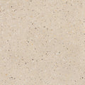 Bio Concrete Rice Terrazzo Porcelain Tile surface