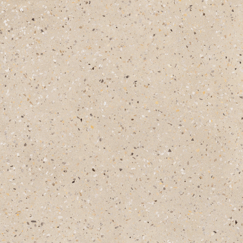 Bio Concrete Rice Terrazzo Porcelain Tile surface