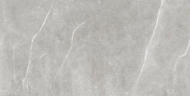 Soapstone Silver Porcelain Tile surface