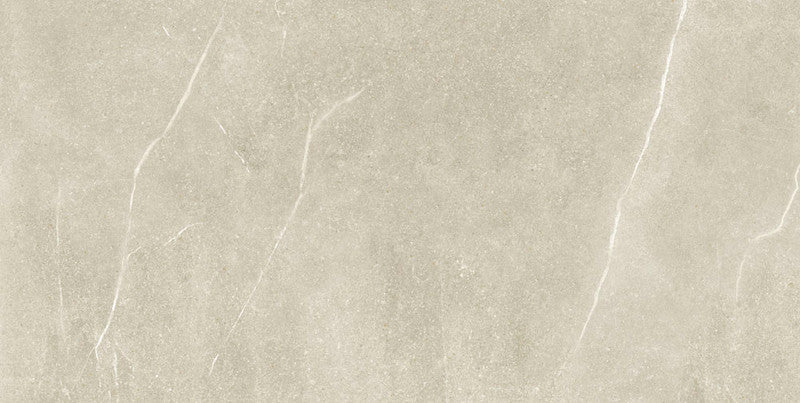 Soapstone Tan Porcelain Tile surface
