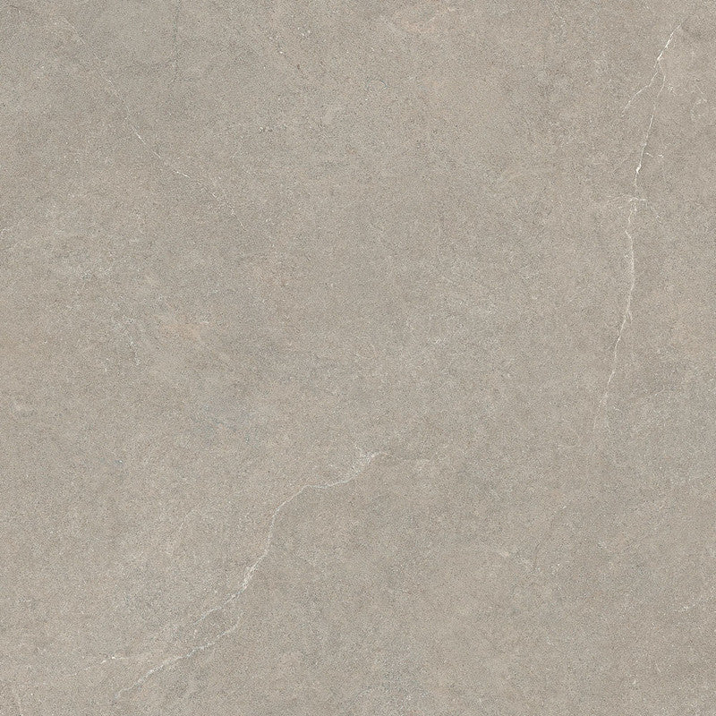 Limestone Taupe Porcelain Tile surface