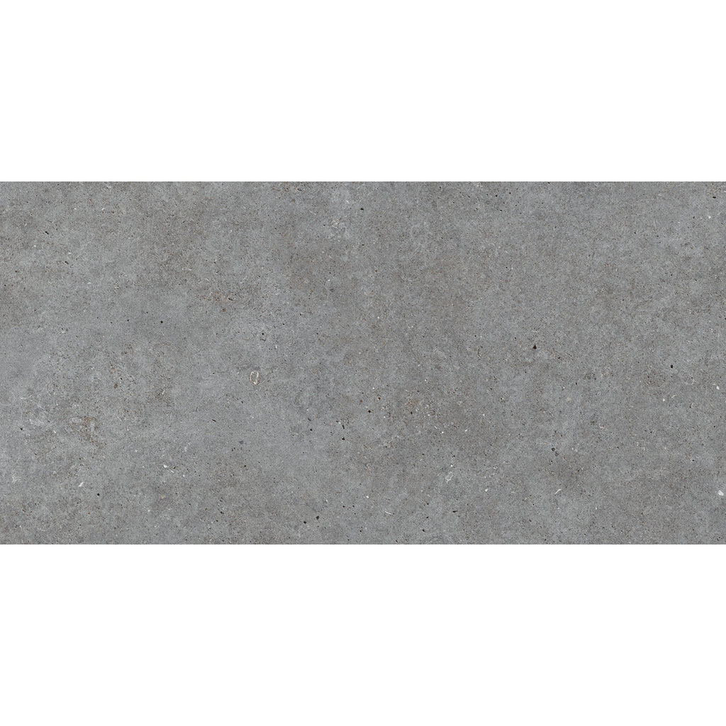 Stone Basel Grafito Porcelain Tile