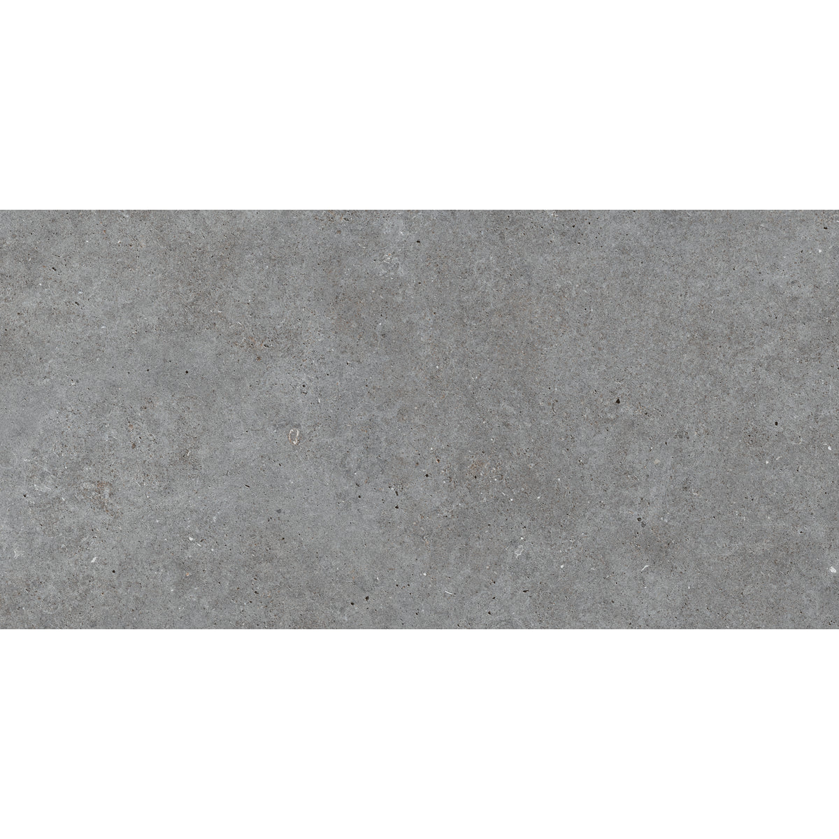 Stone Basel Grafito Porcelain Tile