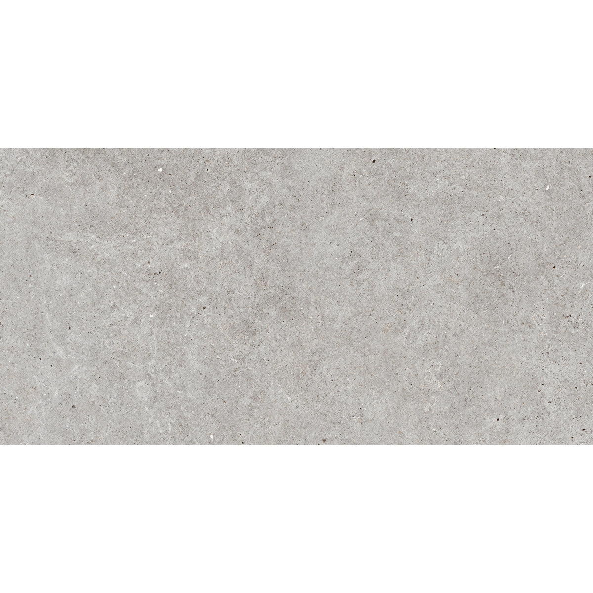 Stone Basel Gris Porcelain Tile