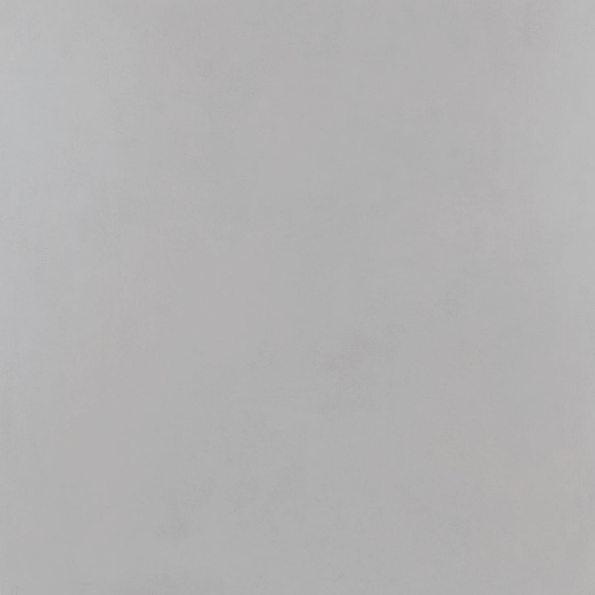 Pro Cement Porcelain Tile